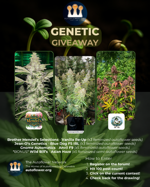 Green and White Modern Agriculture Service Instagram Post (2).png