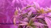 20140130_171643.jpg