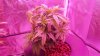 20140130_171637.jpg