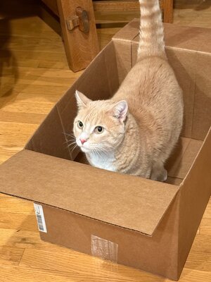 IMG_6761.jpeg IMG_6761.jpeg