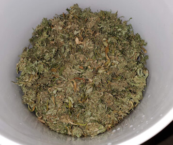 LemonZ_larf.jpg LemonZ_larf.jpg