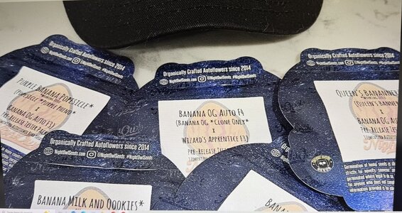 IMG_7544.jpeg IMG_7544.jpeg