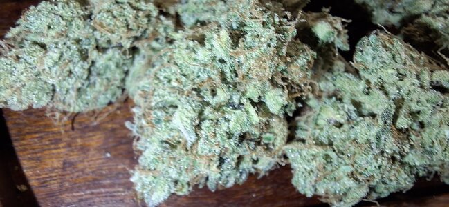 CDLC × Grape Crinkle freebie