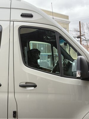 IMG_7997.jpeg IMG_7997.jpeg