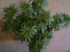 IMG-20140202-00629.jpg