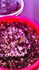 IMG_20140202_194803.jpg