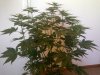 IMG-20140204-00655.jpg