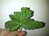 IMG-20140210-00687.jpg