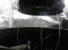 IMG_20140210_201031.jpg