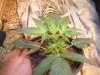 100_3674.jpg