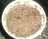 seed.PNG seed.PNG
