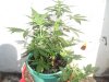 100_3691.jpg
