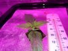 20140211_015943.jpg