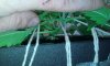Day 20  17.2.14  MM more LST (2).jpg