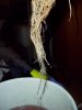108_0065.jpg