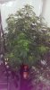 IMAG0671.jpg