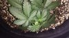 20140221_132354.jpg