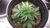 20140221_134215.jpg