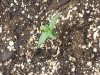 20140218_093428.jpg