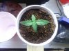 PANO_20140224_123449.jpg