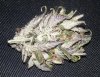 DD dried close up 4.jpg