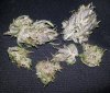 DD dried close up 6.jpg