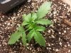 20140227_095941.jpg 20140227_095941.jpg