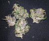 DD dried 7.jpg