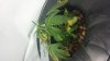 20140302_234541.jpg