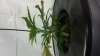 20140305_135332.jpg