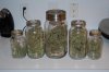 jars.jpg