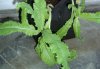 DSC04493.jpg