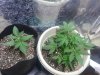 20140308_115359.jpg