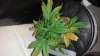 20140308_224518.jpg