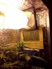 CAM00254.jpg