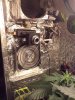 CAM00253.jpg