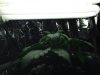 close light - Copy.jpg