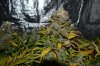 DSC_0137.jpg