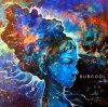 subcool cover.jpg subcool cover.jpg