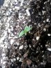 20140311_110432.jpg 20140311_110432.jpg