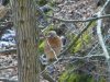 bird2.jpeg