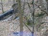 bird1.jpeg
