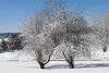 DSC_1893.jpg