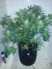 20140312_205937.jpg
