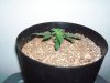 000_0273.JPG 000_0273.JPG