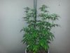 20140322_171343.jpg