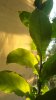 DSC04574.jpg