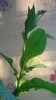 DSC04573.jpg