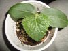 DSC04476.jpg