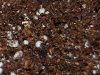Mixed seedling mix.Mellow mix..jpg
